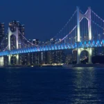 青や紫の光で照らされた広安大橋と、手前の海、橋の向こうに並ぶ建物の夜景