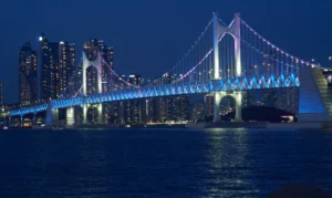 青や紫の光で照らされた広安大橋と、手前の海、橋の向こうに並ぶ建物の夜景